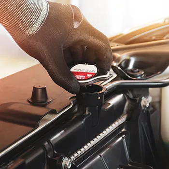 Cooling System Repair in Sarasota, FL in Sarasota, FL