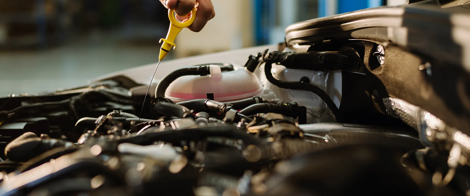 Oil Change near Sarasota, FL